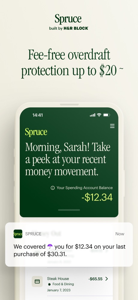 Spruce – Mobile banking App Store screenshot 5