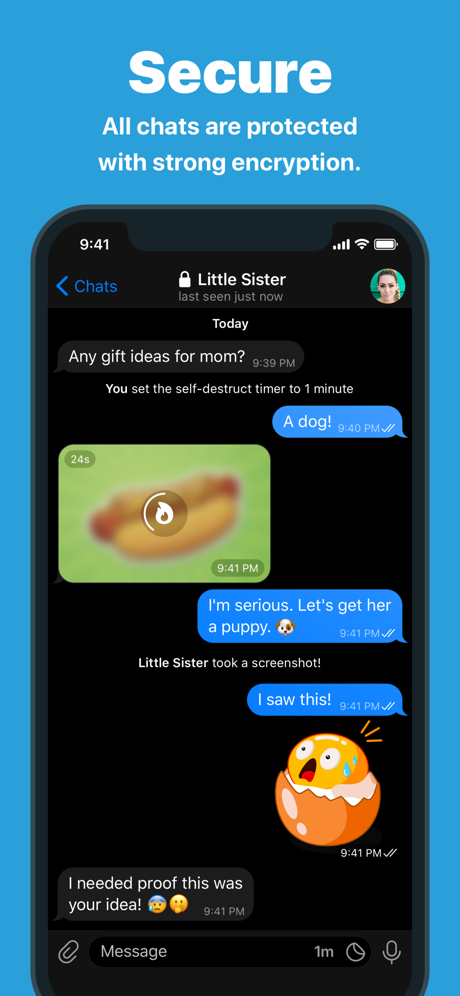 Telegram Messenge‪r‬ App Store screenshot 3