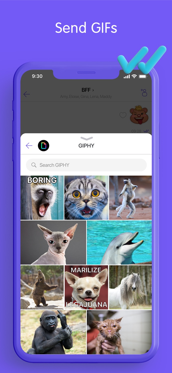 Viber Messenger: Chats & Calls App Store screenshot 7